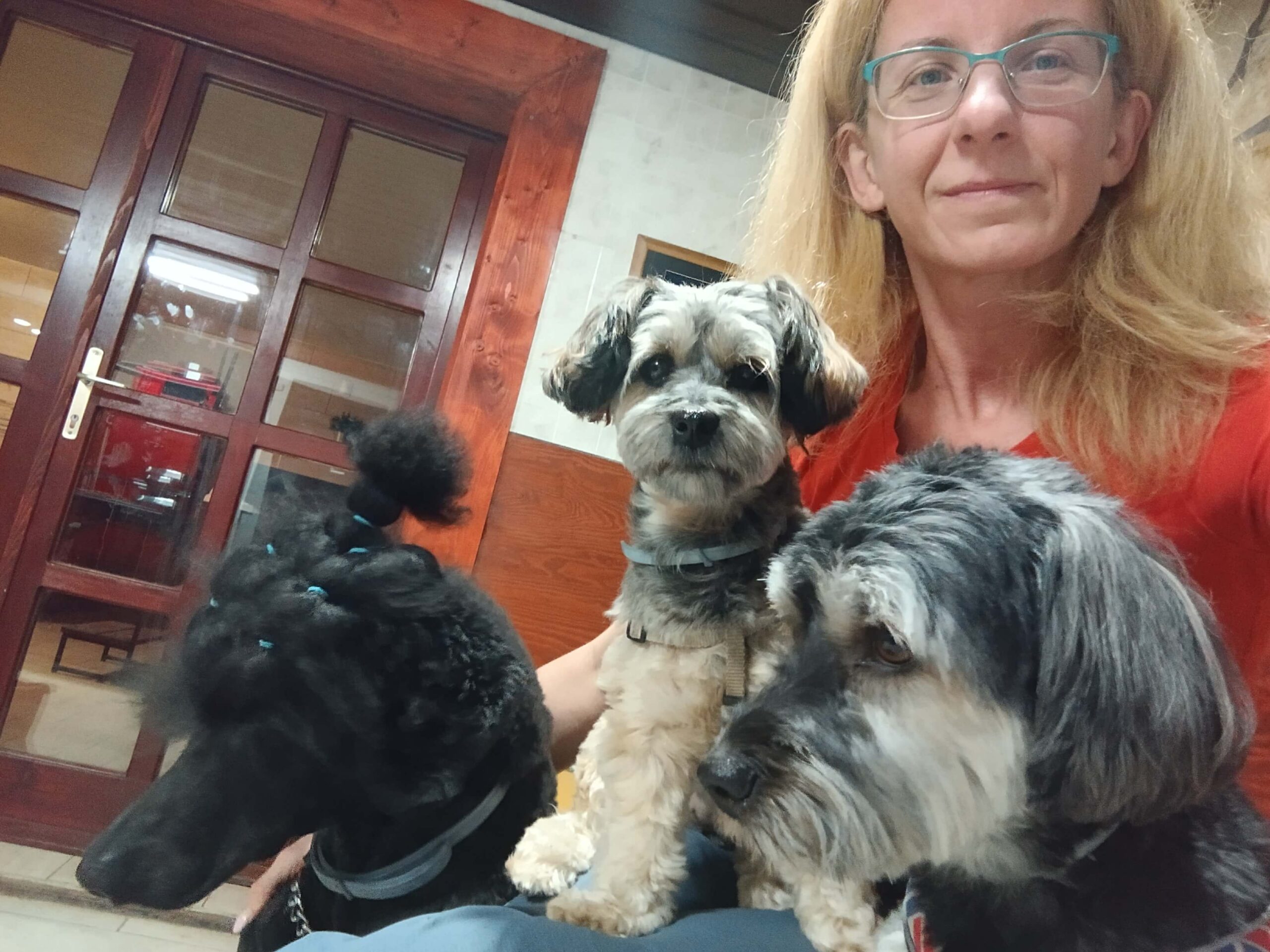 Kutyapanzió Verőce-Magyarkúton Kaszál Éva kutyapanzió(1)